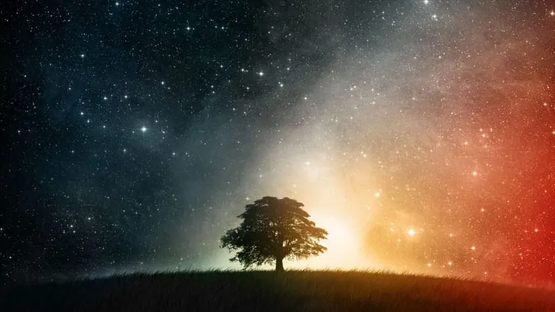 A Dreamy World Theme Preview Image