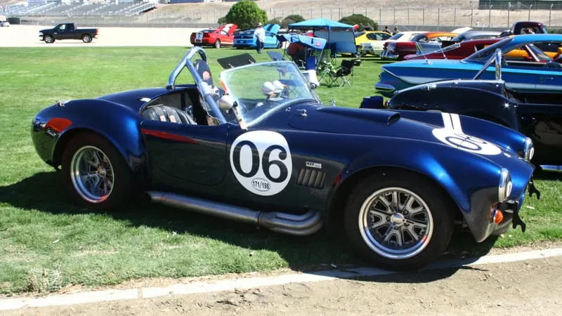 AC Cobra Theme Preview Image