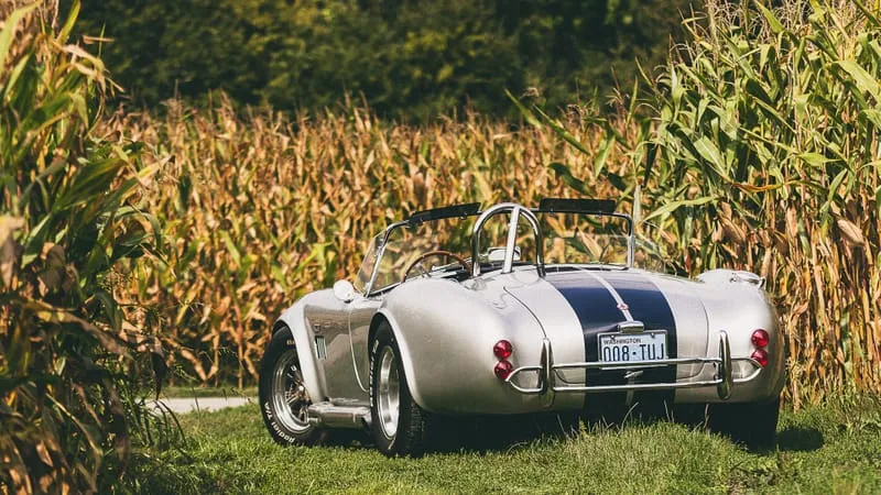 AC Cobra Theme Preview Image