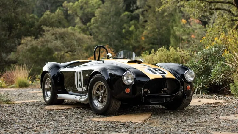 AC Cobra Theme Preview Image
