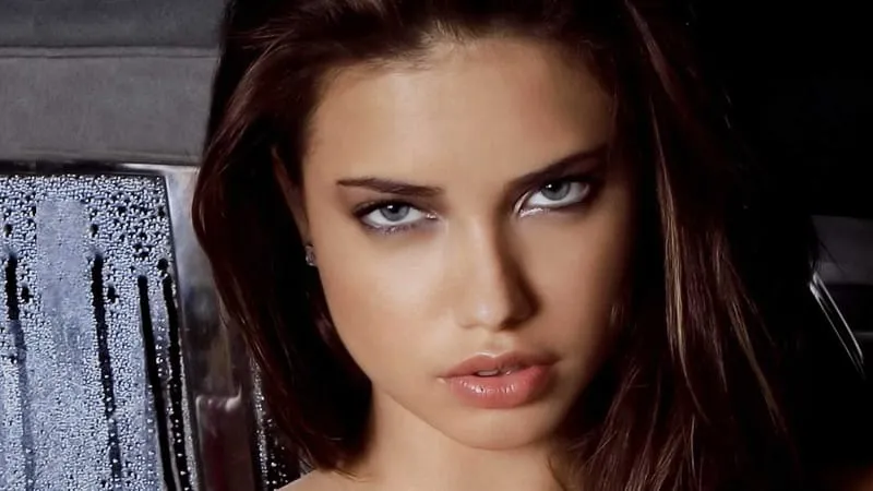Adriana Lima Theme Preview Image