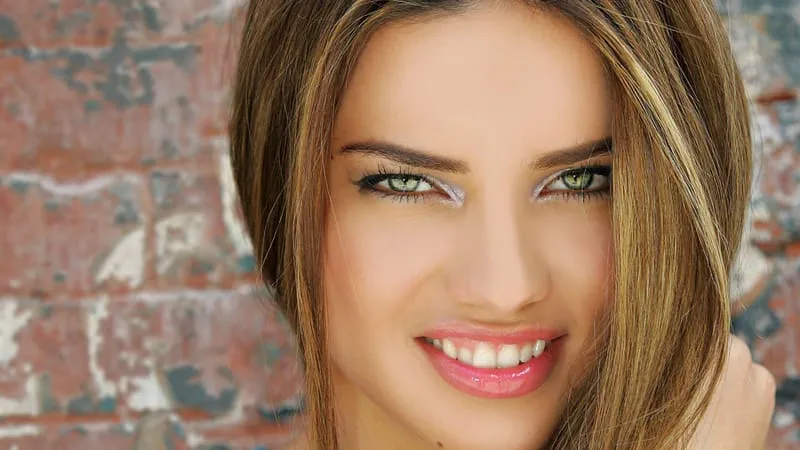 Adriana Lima Theme Preview Image