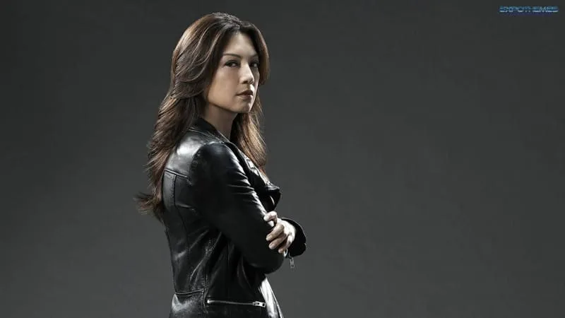 Agents Of SHIELD Theme Preview Image