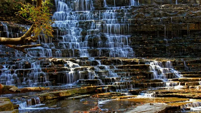 Albion Falls Theme Preview Image
