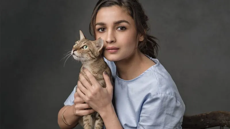 Alia Bhatt Theme Preview Image