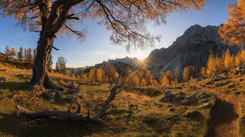 Alps Mountain Theme Preview Image