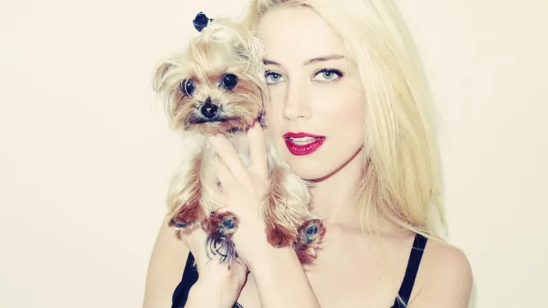Amber Heard Theme Preview Image