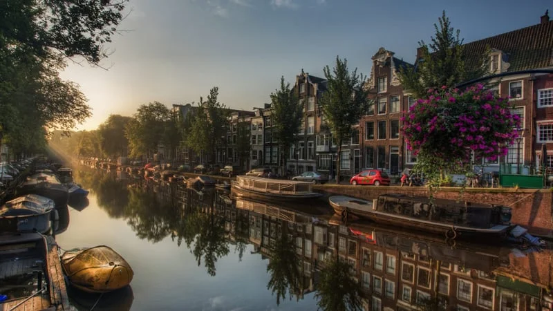 Amsterdam Theme Preview Image