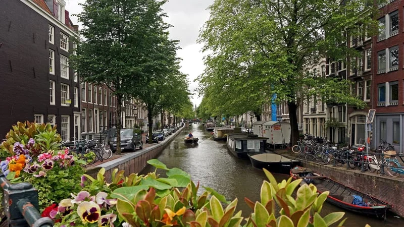 Amsterdam Theme Preview Image