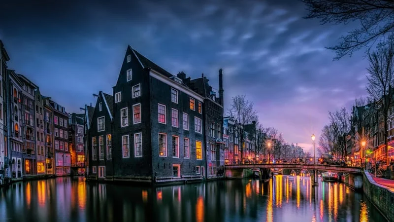 Amsterdam Theme Preview Image