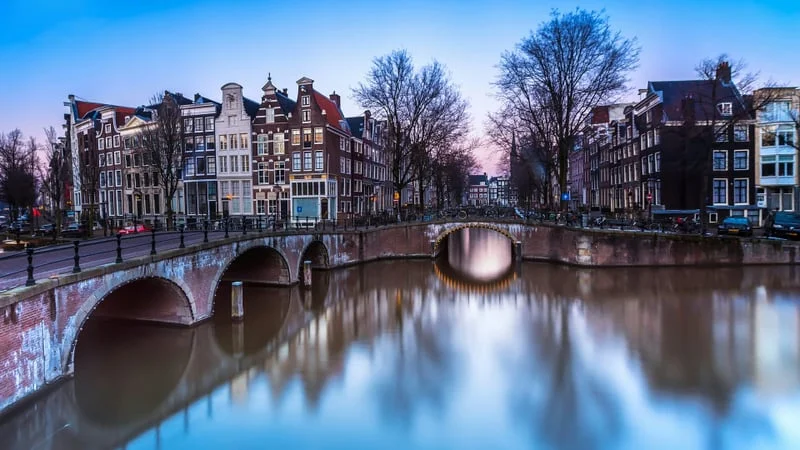 Amsterdam Theme Preview Image