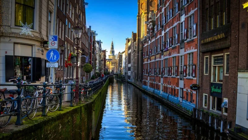 Amsterdam Theme Preview Image