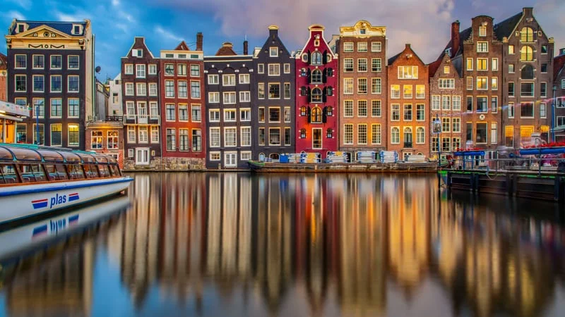 Amsterdam Theme Preview Image