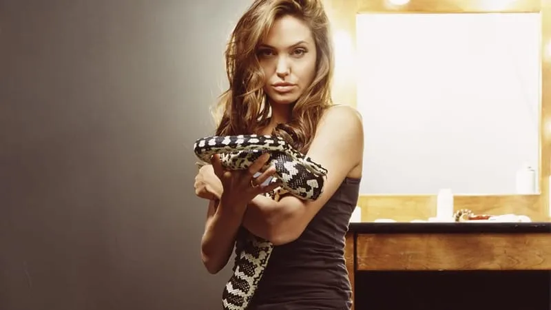 Angelina Jolie Theme Preview Image