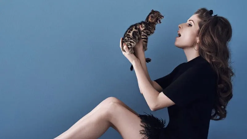 Anna Kendrick Theme Preview Image