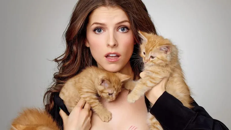 Anna Kendrick Theme Preview Image