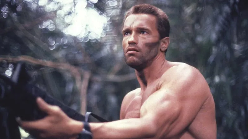 Arnold Schwarzenegger Theme Preview Image