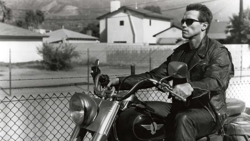 Arnold Schwarzenegger Theme Preview Image