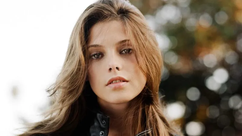 Ashley Greene Theme Preview Image