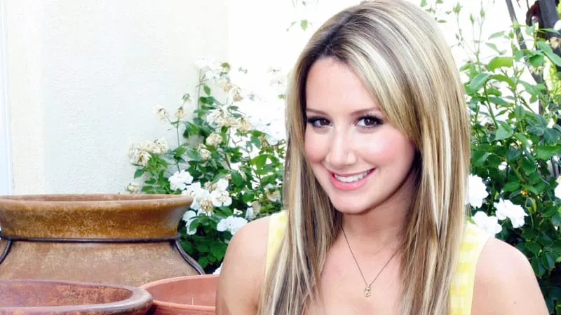 Ashley Tisdale Theme Preview Image