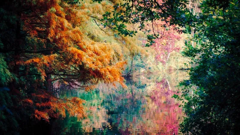 Autumn Theme Preview Image