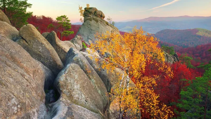 Autumn Theme Preview Image