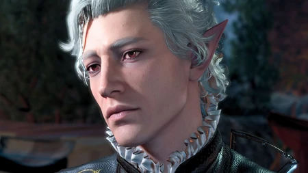 Baldurs Gate 3 Theme Preview Image