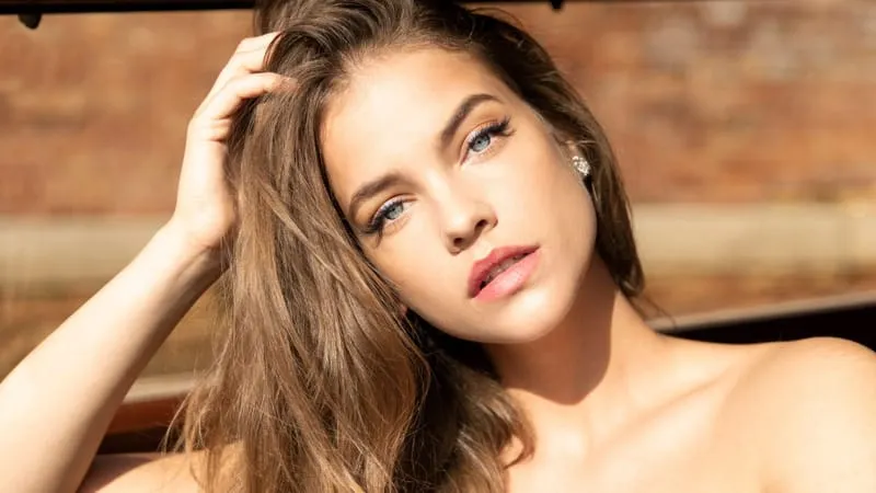 Barbara Palvin Theme Preview Image