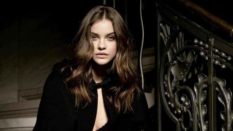 Barbara Palvin Theme Preview Image
