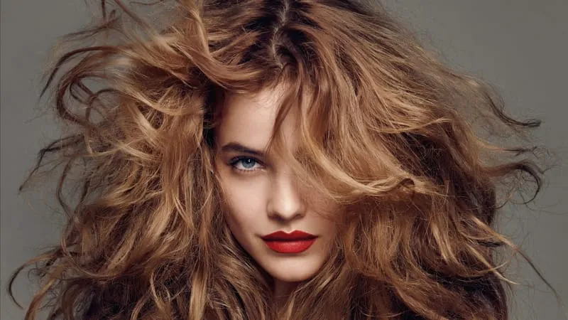 Barbara Palvin Theme Preview Image