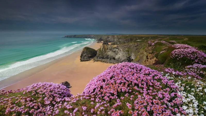 Beach V 2 Theme Preview Image