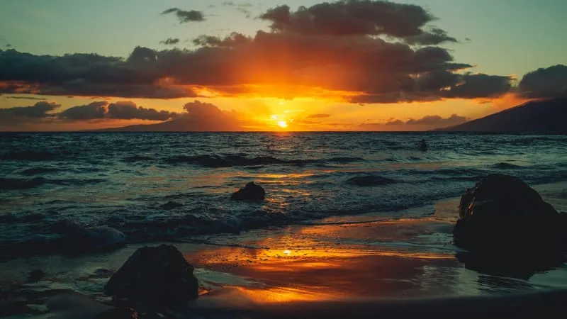 Beach V 2 Theme Preview Image