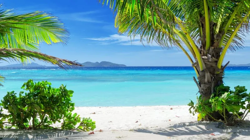 Beach V 2 Theme Preview Image