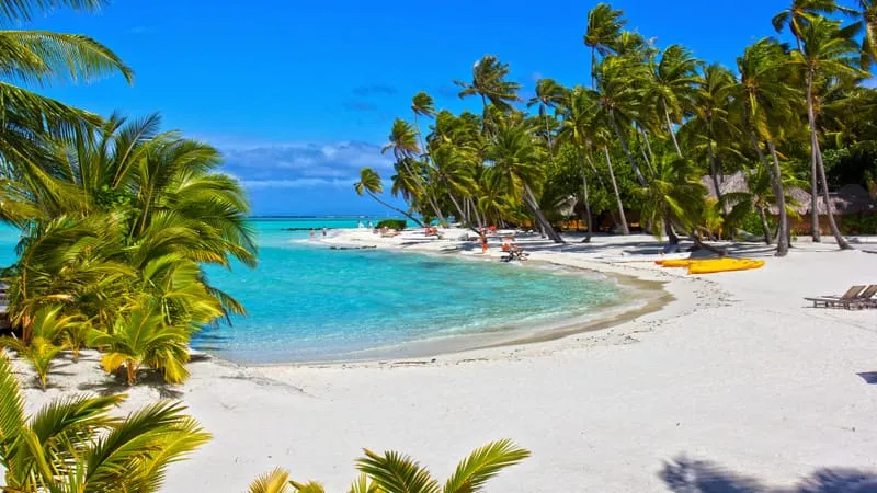 Beach V 2 Theme Preview Image