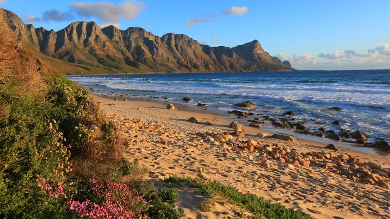 Beach V 2 Theme Preview Image