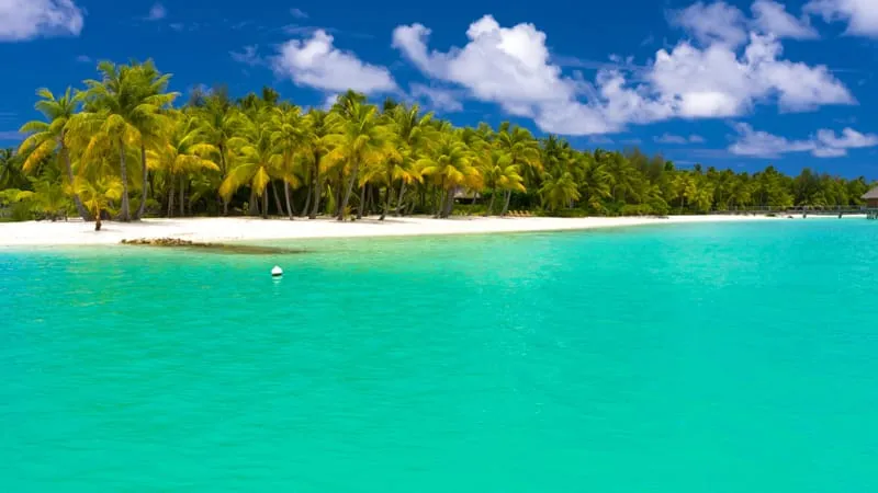 Beach V 2 Theme Preview Image