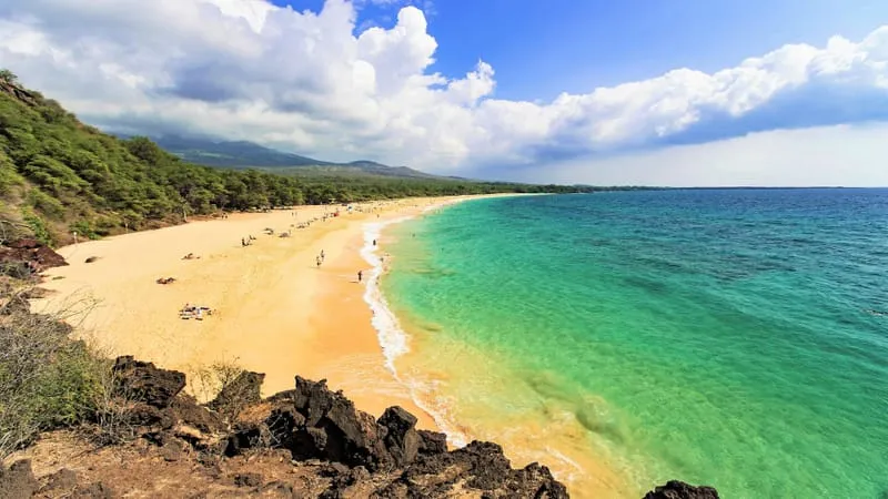 Beach V 2 Theme Preview Image