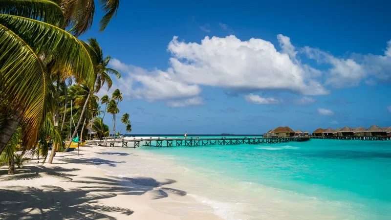 Beach Theme Preview Image