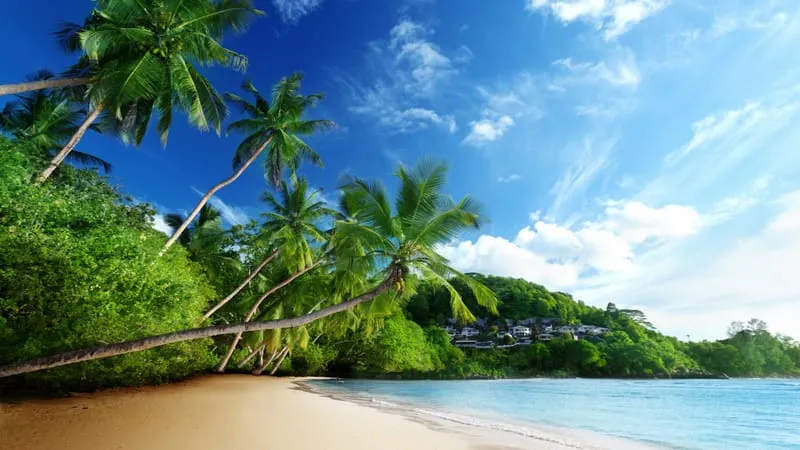 Beach Theme Preview Image