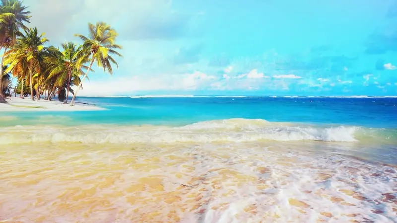 Beach Theme Preview Image