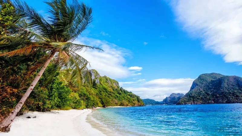 Beach Theme Preview Image