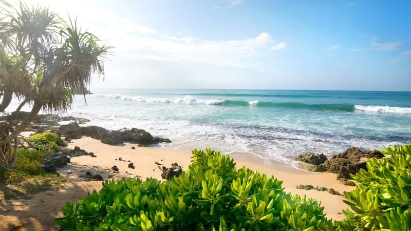 Beach Theme Preview Image