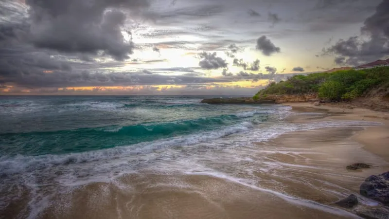 Beach Theme Preview Image