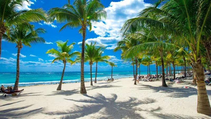 Beach Theme Preview Image