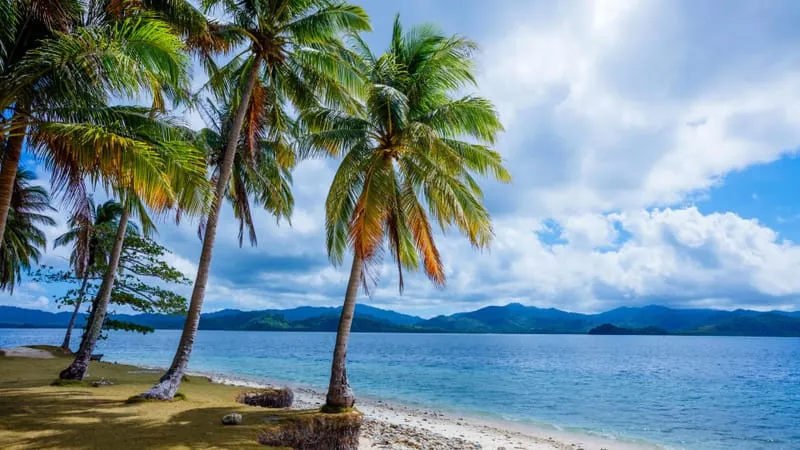 Beach Theme Preview Image