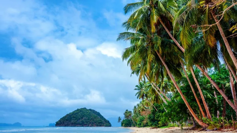 Beach Theme Preview Image