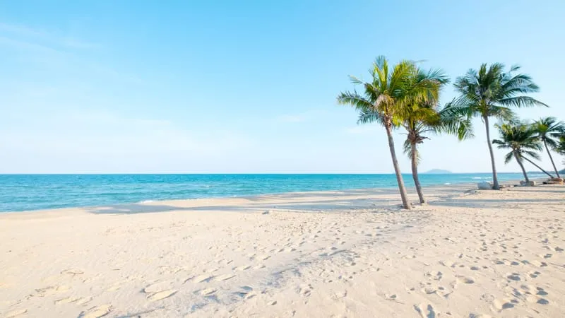 Beach Theme Preview Image