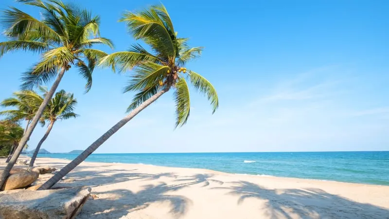 Beach Theme Preview Image