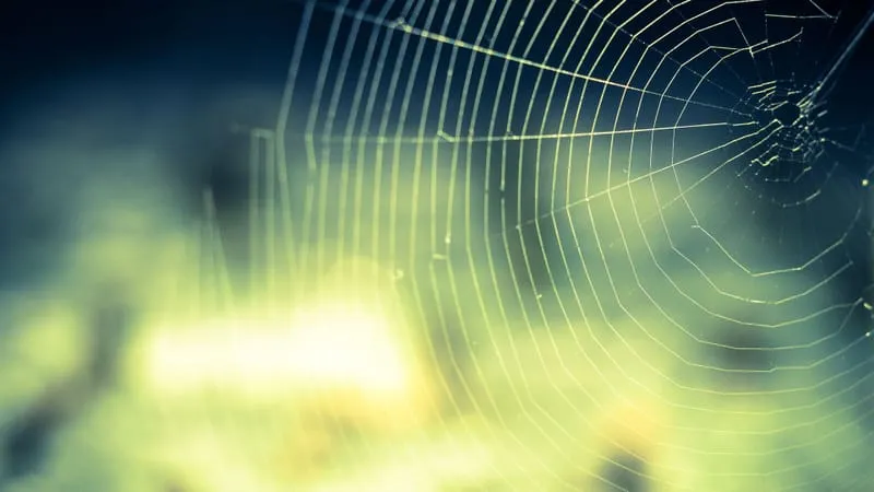 Beautiful Nature Theme Preview Image