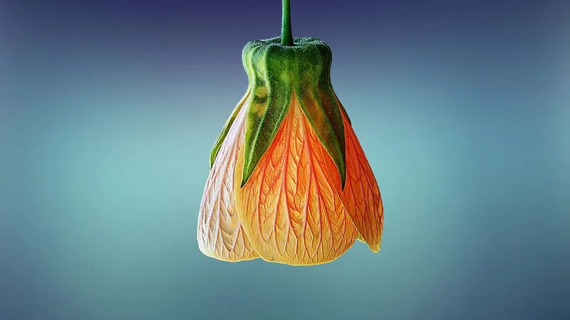 Beautiful Nature Theme Preview Image